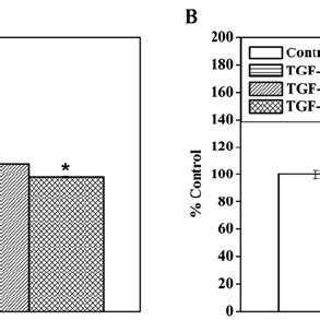 Effect Of Shikonin Shi On A Cell Viability And B Cell