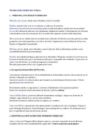 Tema Derecho Pdf