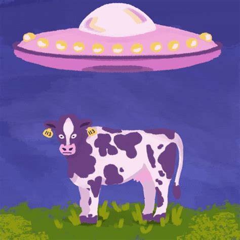 Ufo Cow Abduction GIFs Get The Best On GIPHY