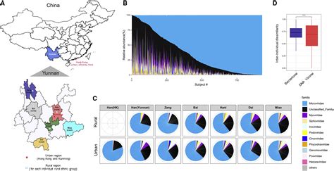 Human Gut DNA Virome Variations Across Geography Ethnicity And