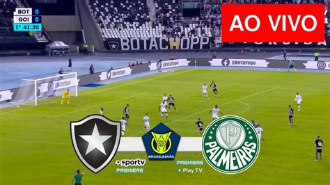 Botafogo X Palmeiras Ao Vivo Com Imagens Jogo De Hoje Assista Agora