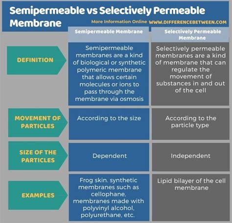 Semipermeable Vs Selectively Permeable Membrane Tabular Form In