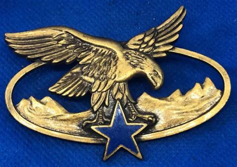 MÉDAILLE BROCHE INSIGNE Militaire Brevet TROUPES DE MONTAGNE DRAGO