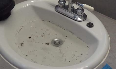 Bathroom Sink Keeps Getting Clogged Semis Online