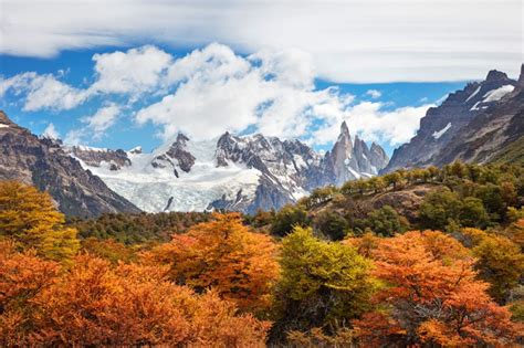 Wildlife in Argentina: 5 Best Destinations for Photography