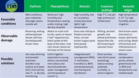 10 most common diseases found in the greenhouses - Horti Generation