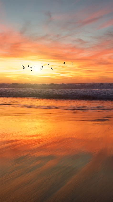 San Diego Beach Sunrise iPhone Wallpaper – iDrop News