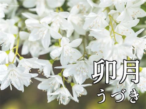 4月の異名「卯月」 農耕に深い関わりも ｜infoseekニュース