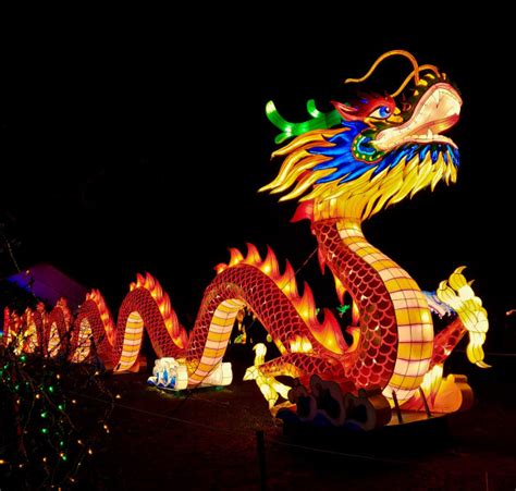 What is the Chinese Year of the Dragon? | Answered | Twinkl