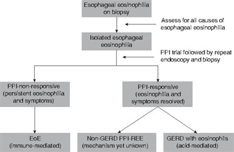 PDF ACG Clinical Guideline Evidenced Based Approach To The Diagnosis