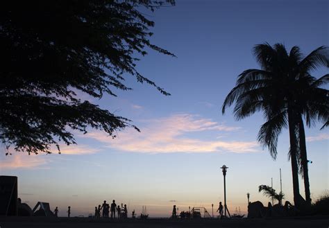 Free Images Beach Sea Tree Horizon Silhouette Cloud People Sky