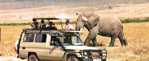 Book Tanzania safari tour