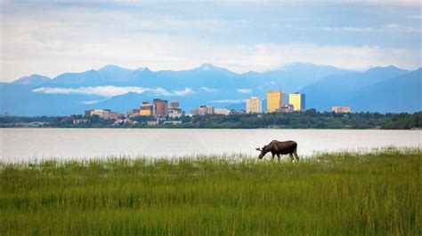 Anchorage, AK | Things to do, Recreation, & Travel Information | Travel Alaska