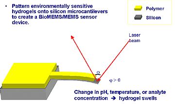 Research Micro And Nanomechanical Cantilever Sensors For Biochemical