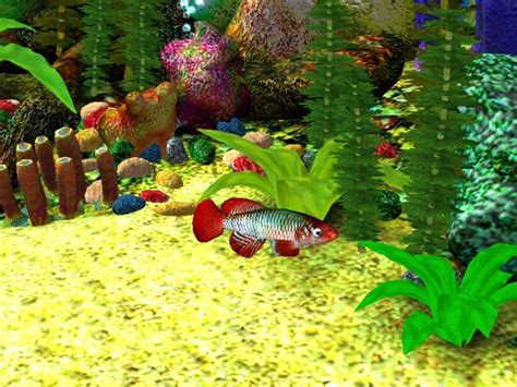 🔥 [50+] Free 3D Aquarium Wallpapers | WallpaperSafari