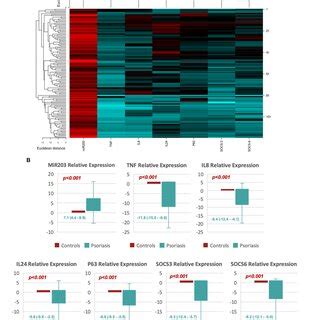 Matching Scores For Mir And Its Target Genes In Pathways And