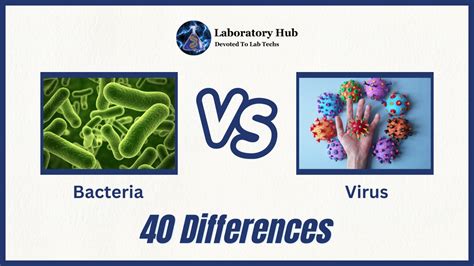 Bacteria Vs Virus 40 Differences Laboratory Hub