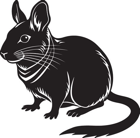 Silhouette image of Degu 48838633 Vector Art at Vecteezy