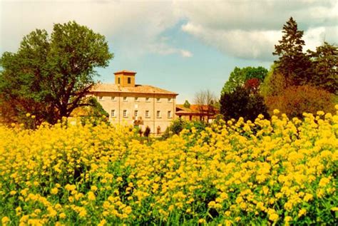 San Mauro Pascoli Romagna Italia Tradizione Calzaturiera Italiana