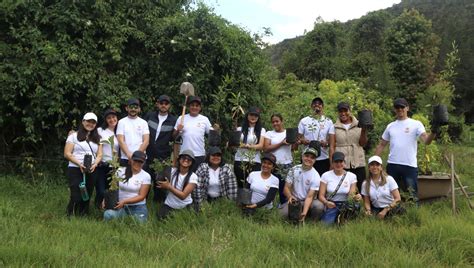 Cerrando El Año Con Compromiso Ambiental Plantación De Árboles En