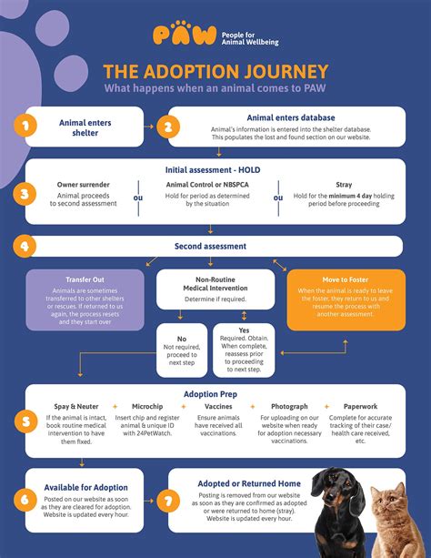 Animal Journey – PAW-SBA