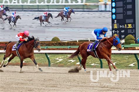 【地方競馬】明日9日、盛岡競馬場でdg競走・マイルチャンピオンシップ南部杯 レモンポップ、カフェファラオなど14頭が参戦 競馬サロン