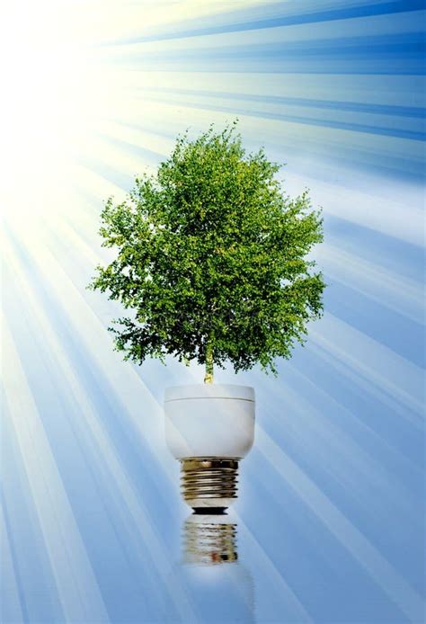 Eco Energy Concept Stock Photo Image Of Glow Earth Disposal 5231878