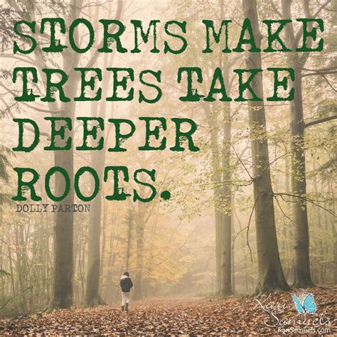 Storms Make Trees Take Deeper Roots With Images Inspirational