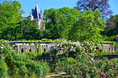 Return to the Biltmore Rose Garden | The Dirt Diaries