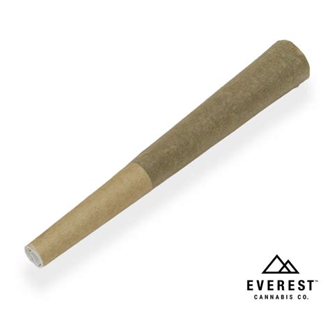 Runtz [ 5g] Everest Pre Roll Single Jane