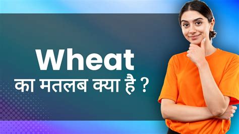 Wheat Hindi Meaning With Examples And Synonyms गेहूँ Ka Matlab 📚 Youtube