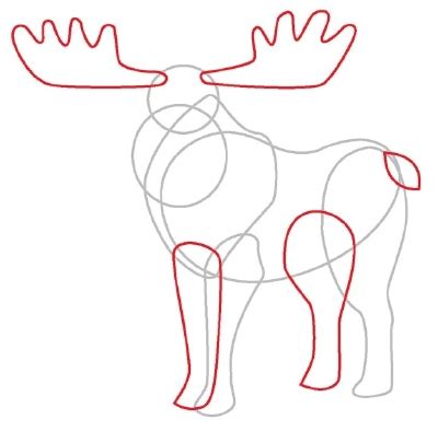 Moose Antlers Drawing at PaintingValley.com | Explore collection of ...