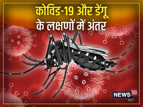 दिल्ली Ncr में बारिश के बाद अब Dengue का कहर इस साल कितना खतरनाक है