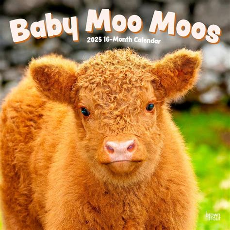 Baby Moo Moos 2025 Wall Calendar