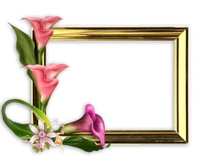 براويز صور اجمل براويز مودرن للصور Flower frame Frame Floral