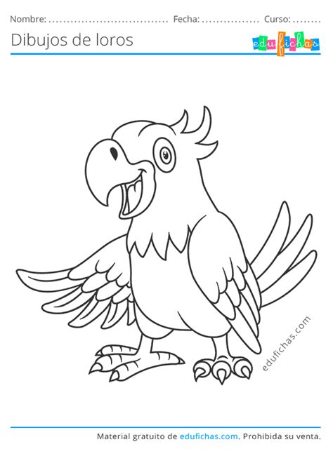 Dibujos De Loros Para Colorear Gratis Descargar Ahora En Pdf