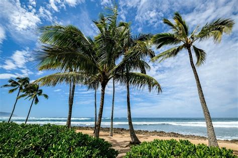 11 mejores playas de la costa norte de Oahu en Hawái Reserva en Canarias