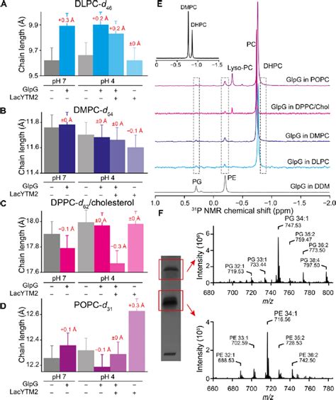 Influence Of Glpg On Lipid Chain Lengths In Pc Membranes And Lipid Download Scientific Diagram