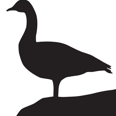 Wood Duck Silhouette at GetDrawings | Free download