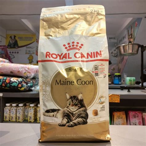 Jual Royal Canin Adult Maine Coon Kg Catfood Kering Mainecoon Dewasa