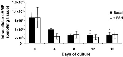 Intracellular Cyclic Adenosine Monophosphate Camp Accumulation Within