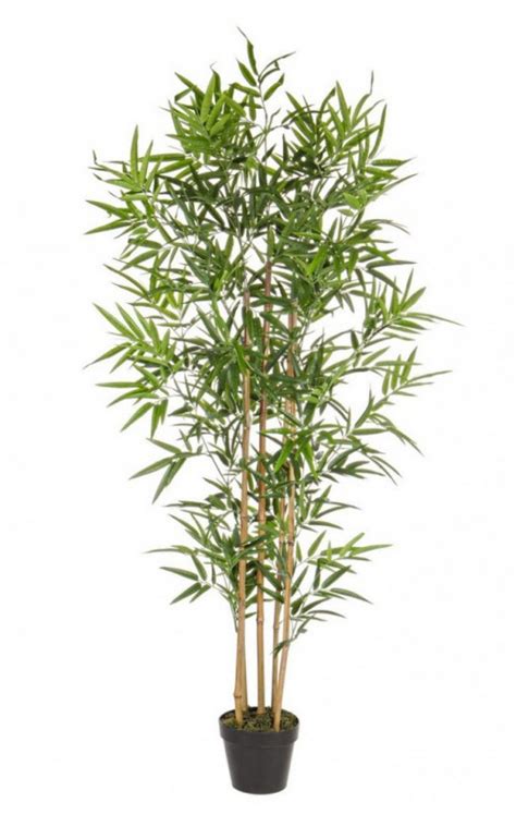 Planta Artificiala Decorativa Cu Ghiveci Cm Bamboo Bizzotto