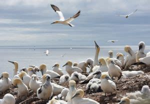 Travel Tips Saint Pierre And Miquelon Canadian Geographic