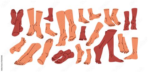 Human Foot Set Bare Feet Barefoot Legs Naked Heels Toes Ankles Front And Back View In