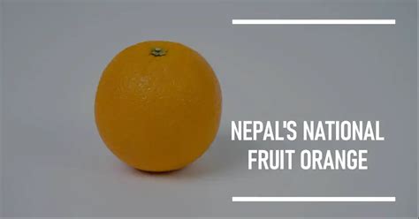 What is national fruit of nepal ? New Update