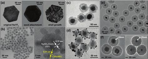 Tem Images Of Typical Nonepitaxial Uc Coreshell Nanoparticles A