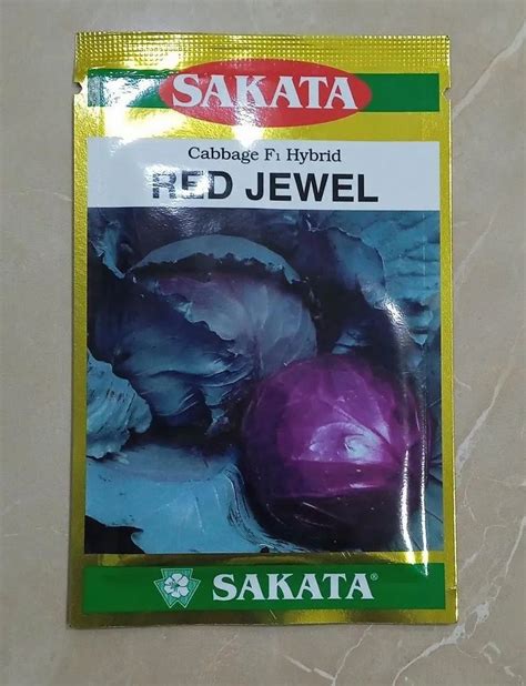 Red Cabbage Seeds At Rs 450 Pack गोभी के बीज In New Delhi Id