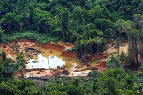 Contaminação por mercúrio atingiu até áreas afastadas do garimpo