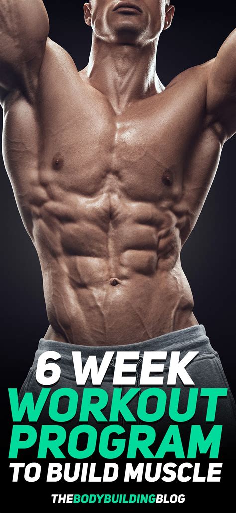 6 Week Workout Program To Build Muscle With Pdf 6 Week Workout