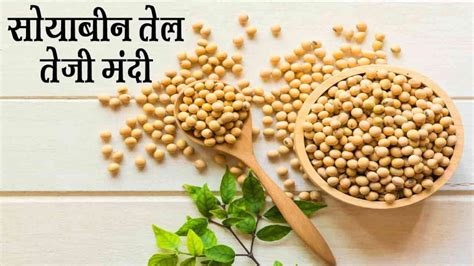 Soya Oil Price आने आने वाले त्योहारी सीज़न से सोयाबीन तेल के भाव में आ सकता है अच्छा उछाल